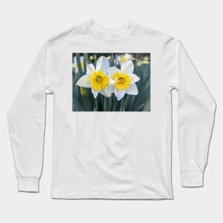 White and Yellow Daffodil Couple Long Sleeve T-Shirt